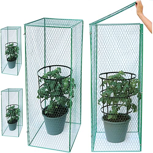 How to Utilize Tomato Cages to Keep Squirrels Out A StepbyStep Guide