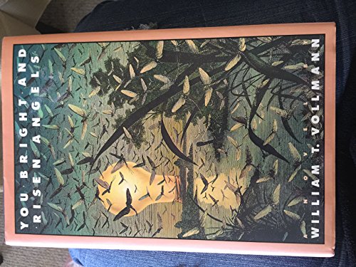 You Bright and Risen Angles: A Cartoon