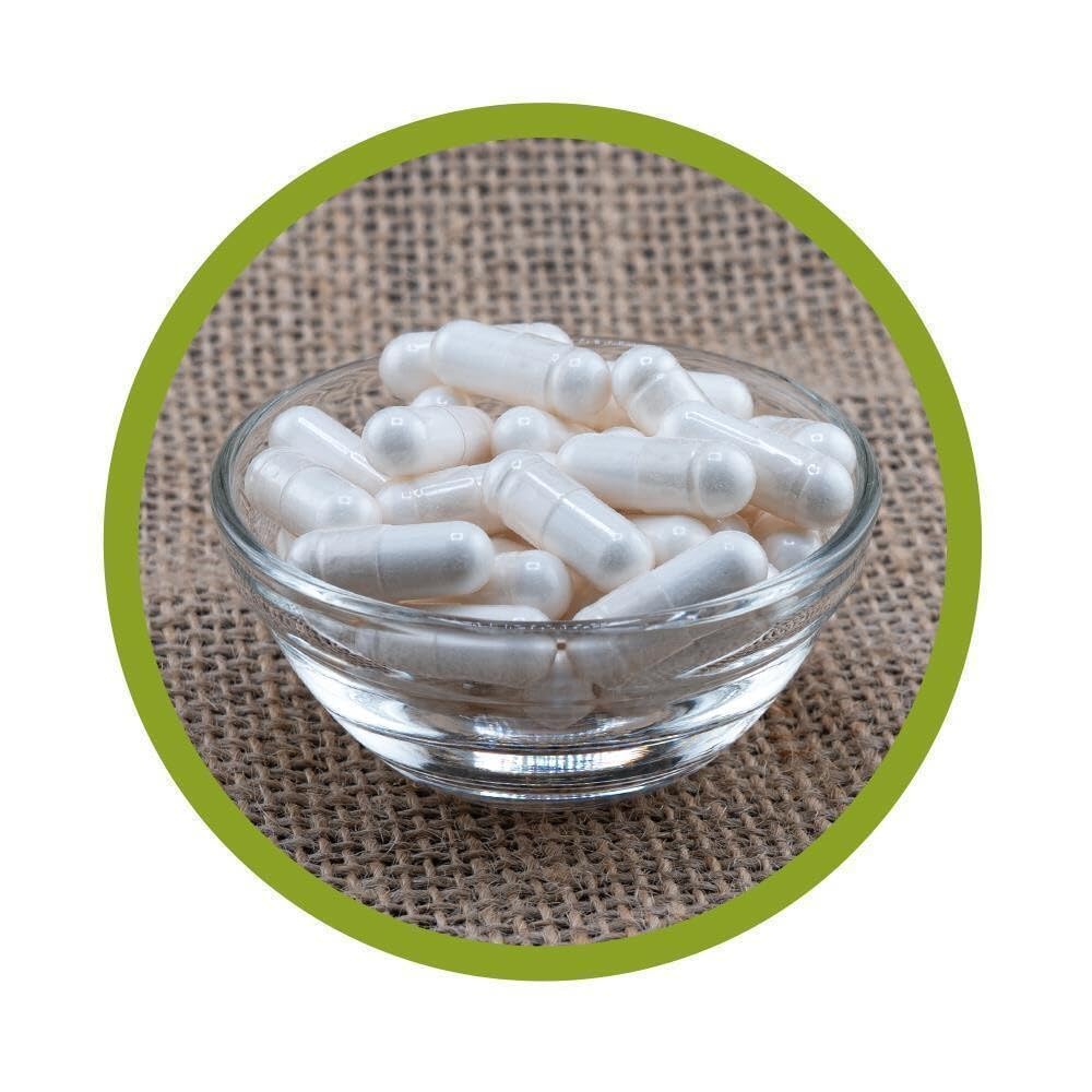 L-Ornithin Kapseln 200 Stück - hochdosiert, 550mg - vegan - reines L-Ornithin - gewonnen aus pflanzlicher Fermentation - ohne künstliche Zusätze - Deutsche Herstellung