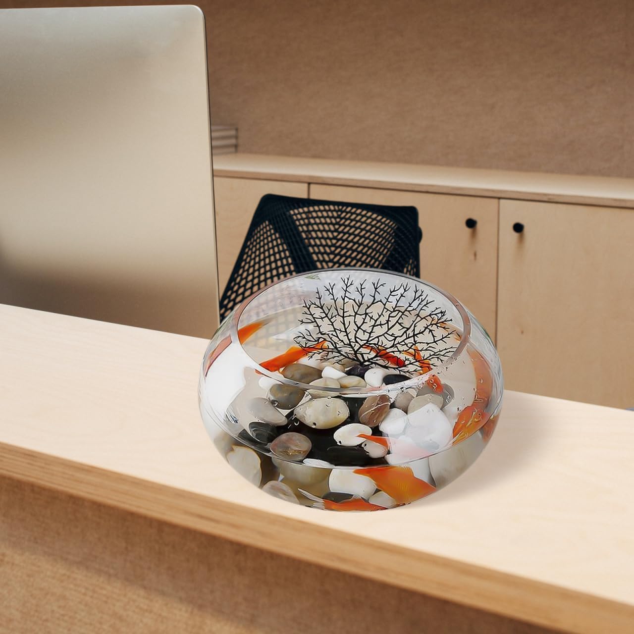 Glass Bubble Bowl Diameter 8.06 Round Glass Fish Bowl for Home Office Restaurant Decor