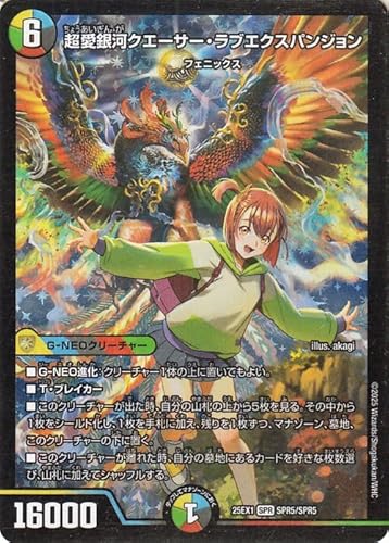 �f���G���}�X�^�[�Y ������̓N�G�[�T�[�E���u�G�N�X�p���W����(�q���C�����A) �u�����Ӎ� �q���C��BEST�x�X�g�v�iDM25-EX1�j