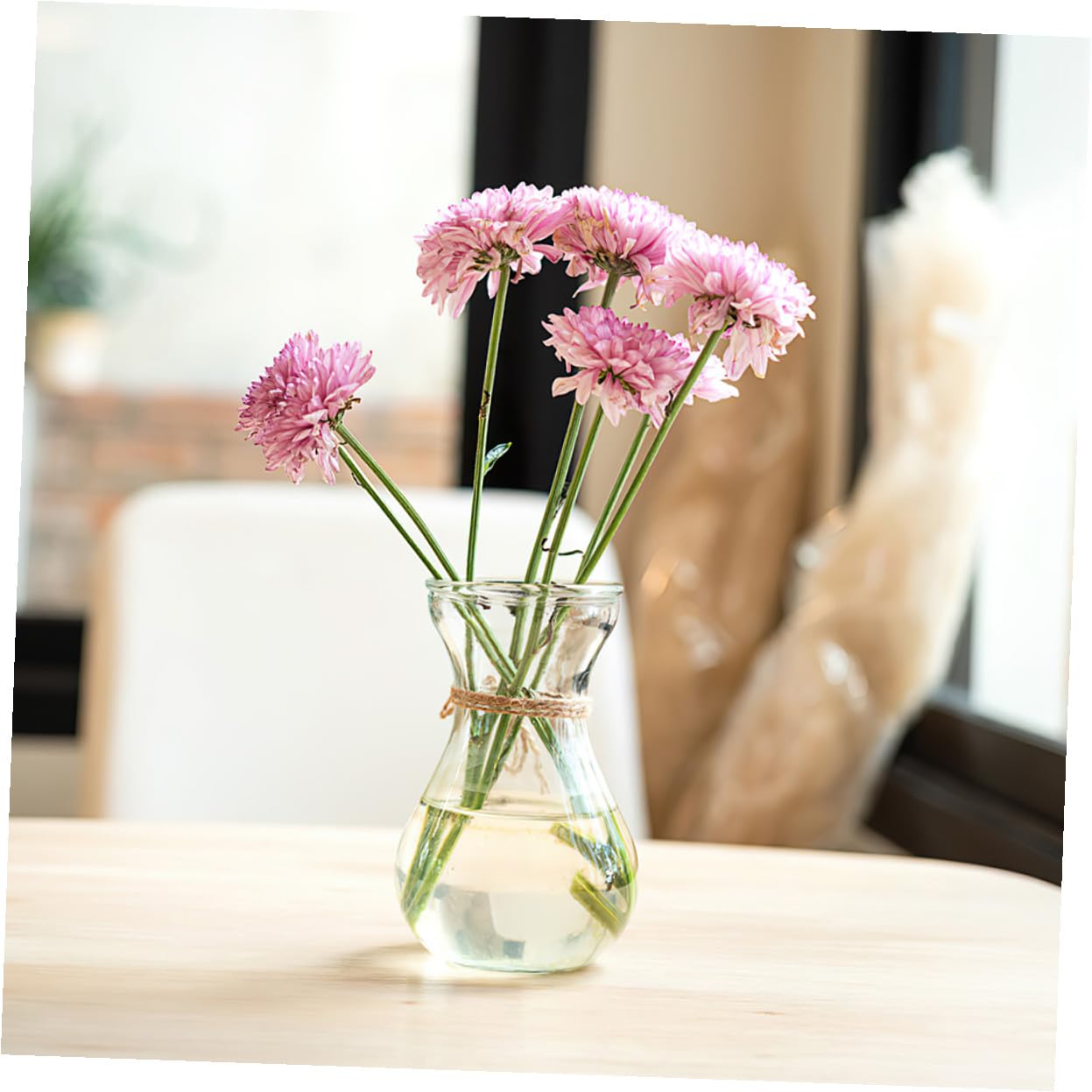 Uonlytech 5 pièces Lot de Vases Verre Transparent pour Propagation Hydroponique Décoratifs et Compacts pour Bureau et Intérieur