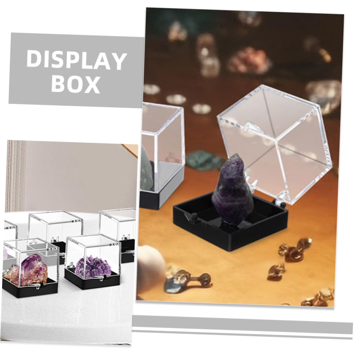 SOLUSTRE Mineral Specimen Box Display Cases Holder 3pcs Plastic Storage Boxes for Jewelry Figurines