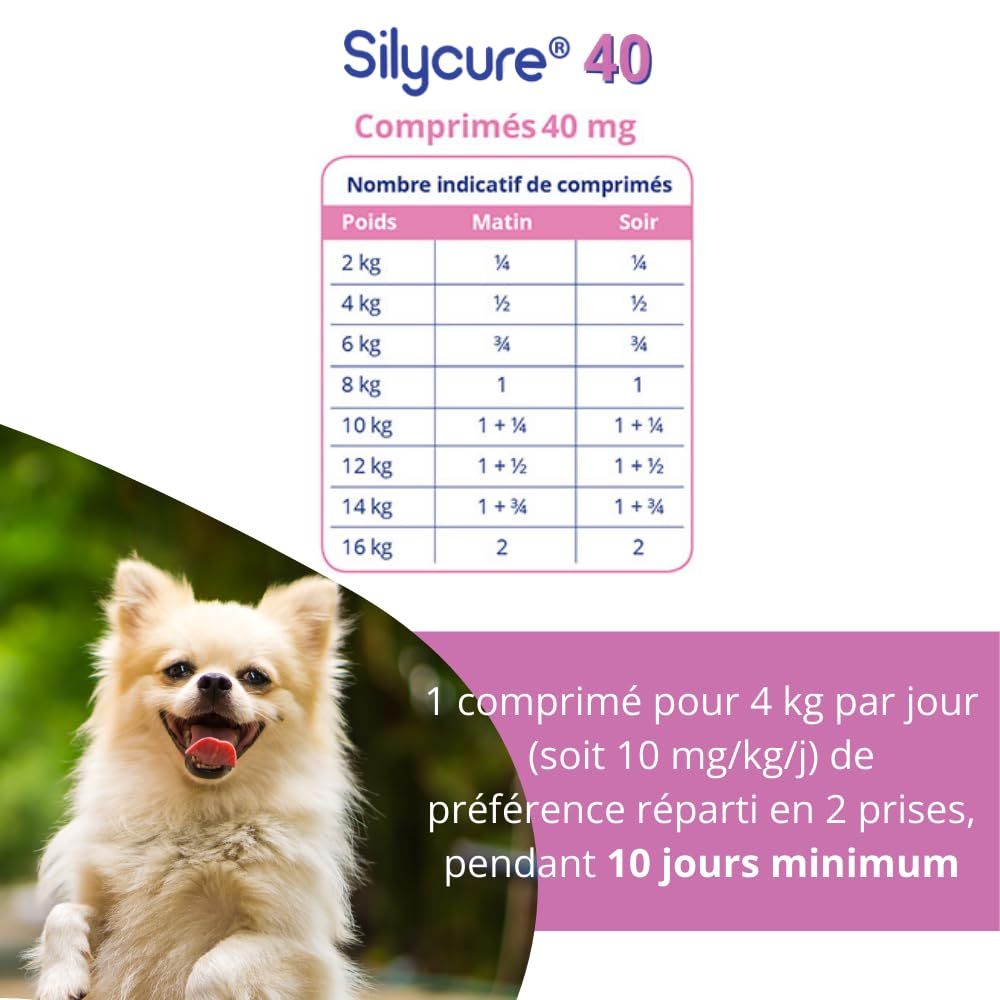 SYLICURE 40 mg - ANIDEV 150 comprimés