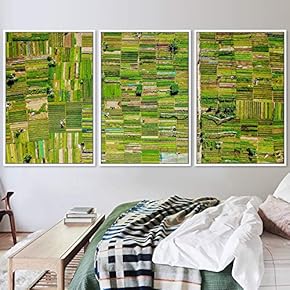 signwin 3 Piece Framed Canvas Wall Art Abstract...