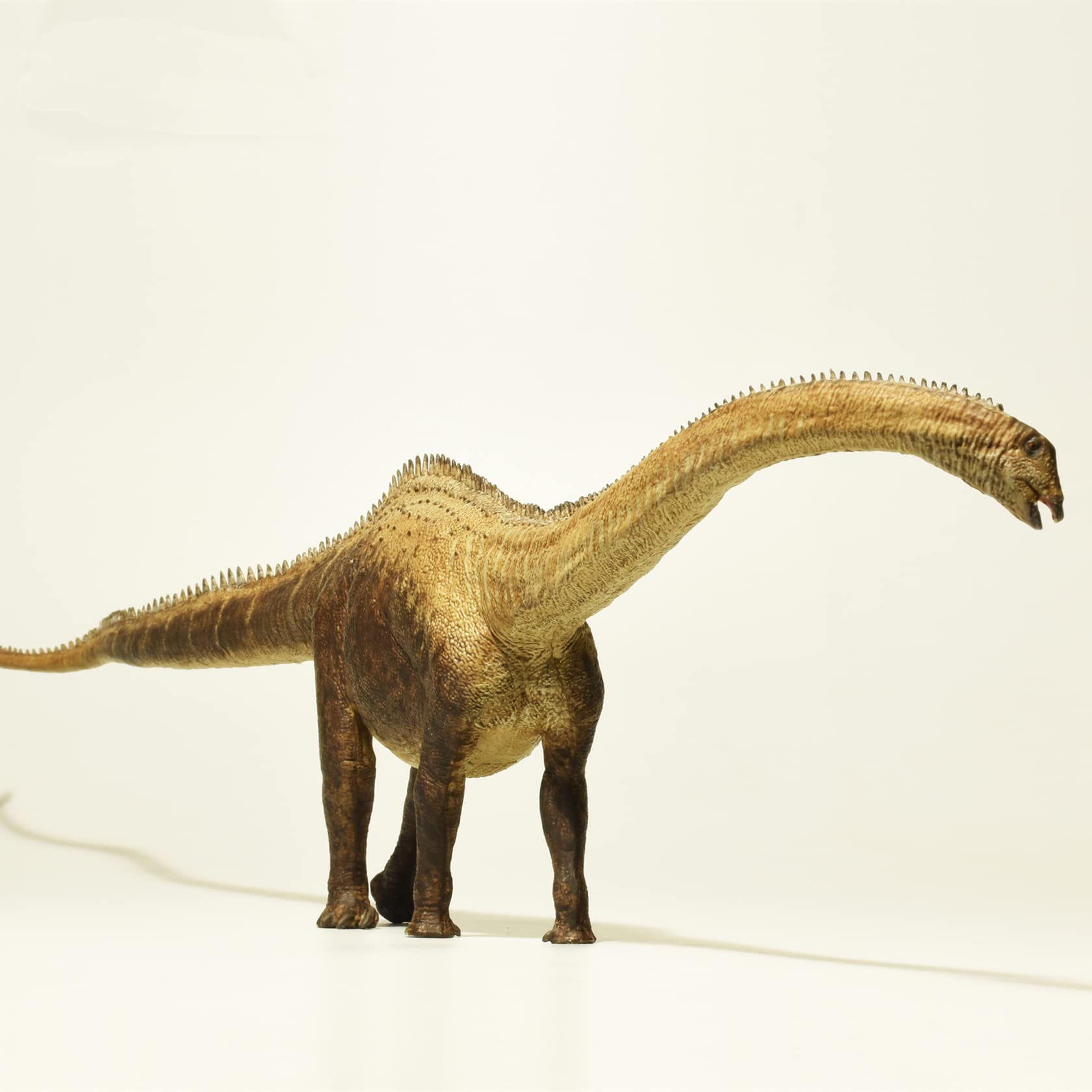 Réplique Diplodocus 1:40 robuste en PVC pour remplacer les jouets fragiles