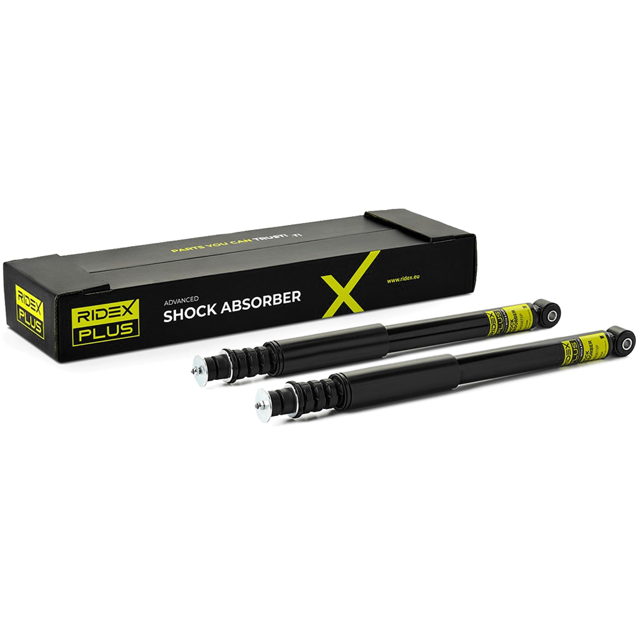 RIDEX PLUS 854S0945P 2x Amortisseur Arrière Compatible avec RENAULT Clio 3 3/5 portes BR0/1, CR0/1