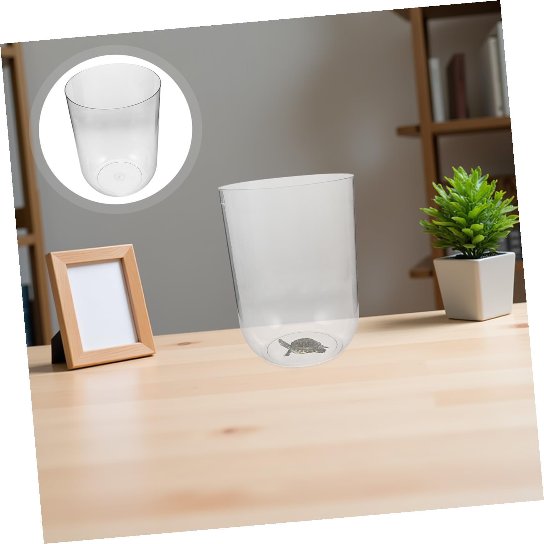 Toyvian Aquarium à Tortue Ronde Cylindrique Réutilisable 8l en Plastique Transparent Compact pour Bureau Écologique Débutant Écologique et Mini Aquarium de Table
