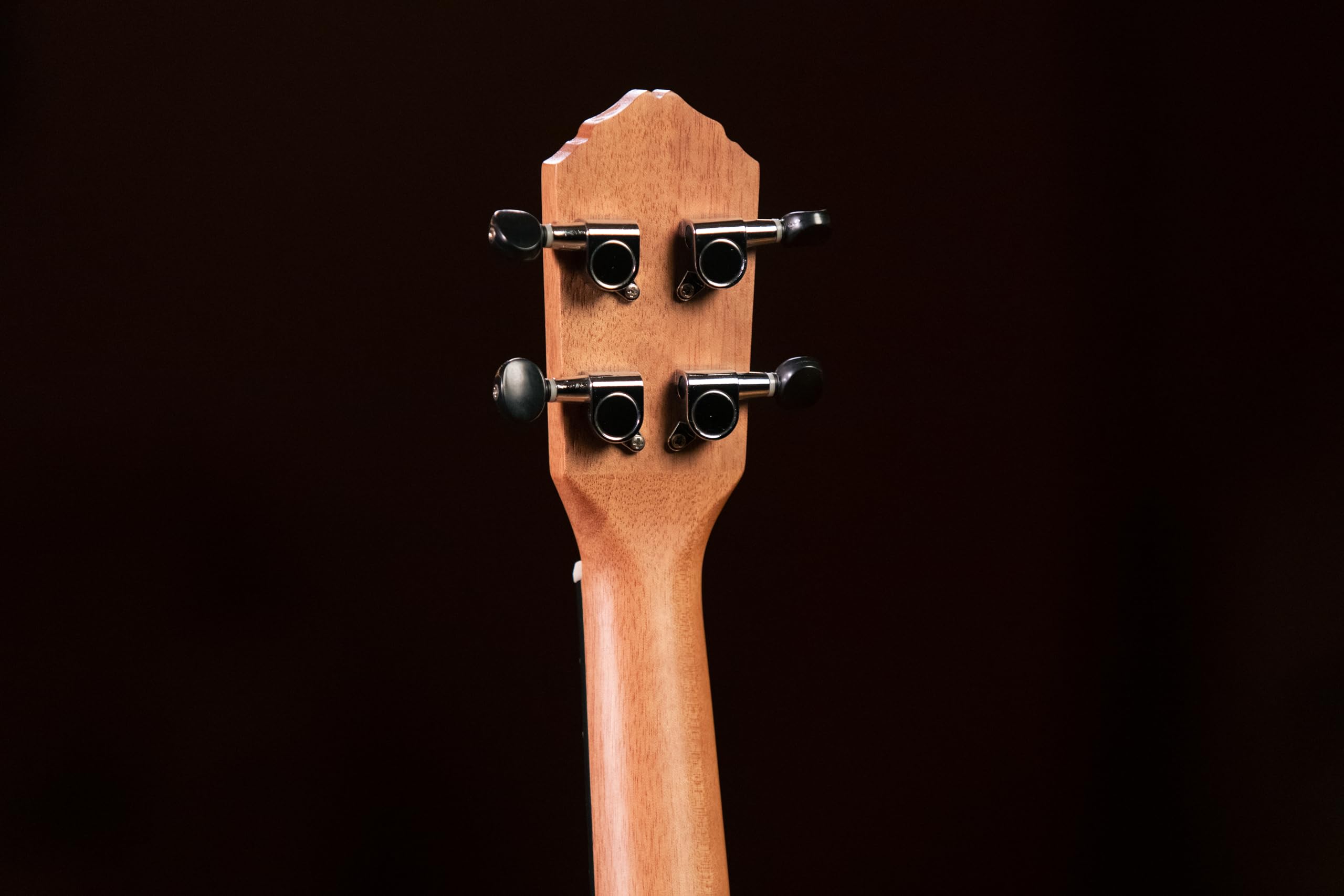 Ortega Guitars Ukulélé Concert Acoustique – Série Timber – Housse Incluse – Sapele, Naturel (RFU11S)