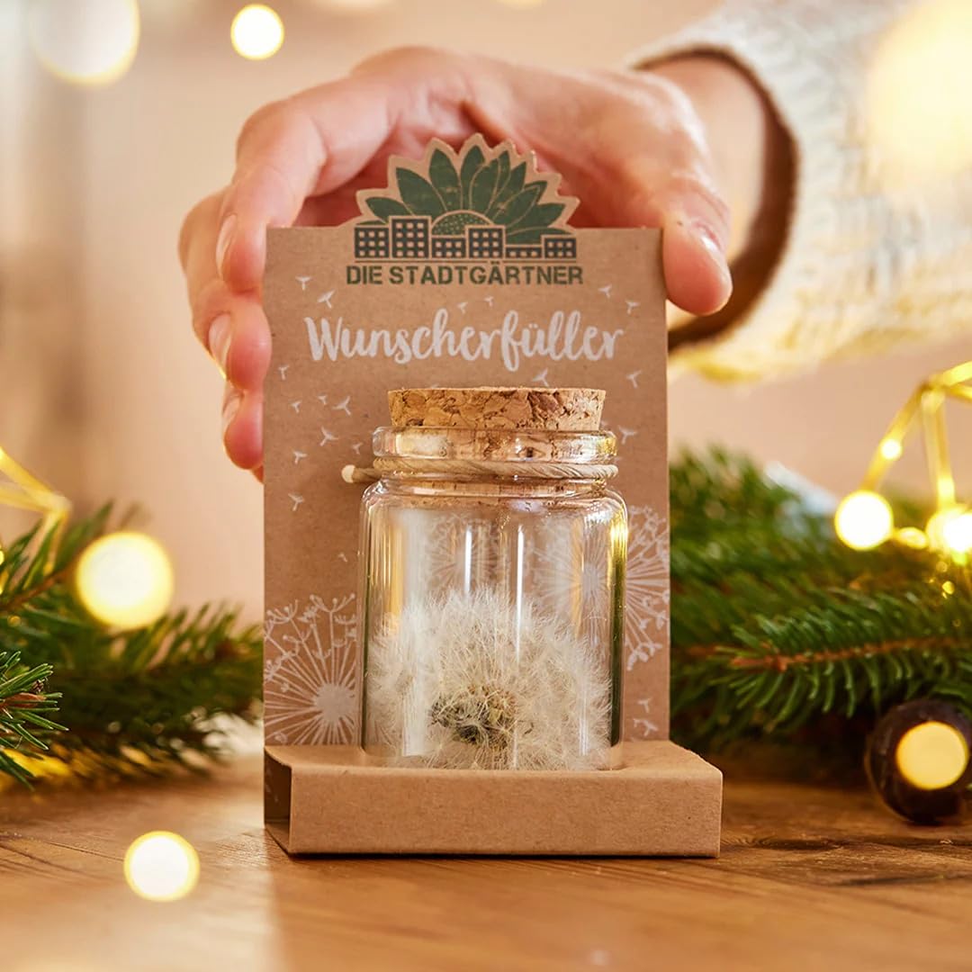 Die Stadtgärtner – Wunscherfüller I Echte Pusteblume im Glas I Ewig haltbar I Perfekte Geschenkidee für jeden Anlass I Geschenke für Frauen & Freundin