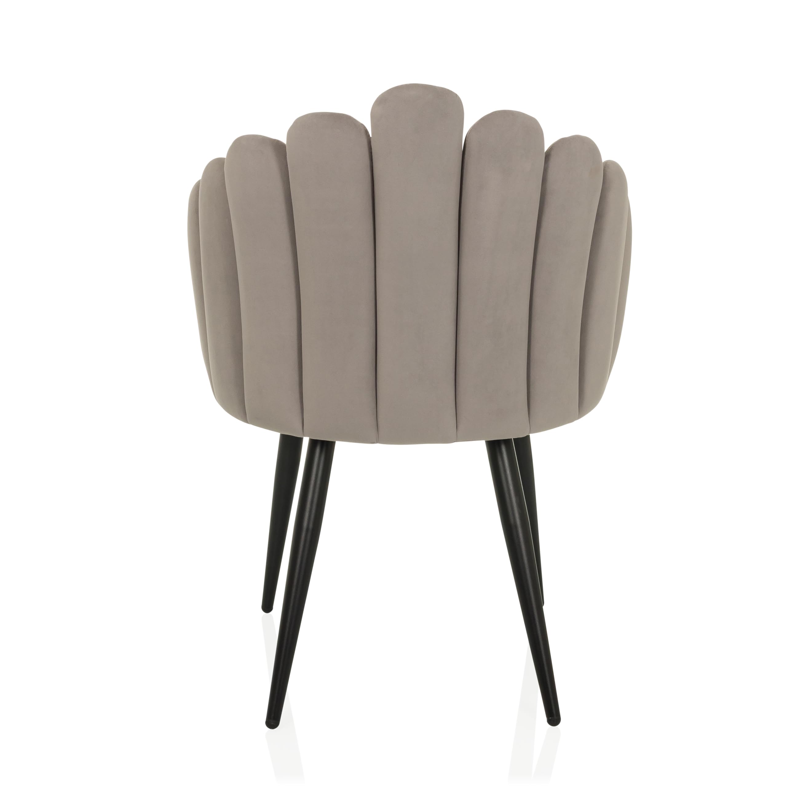 Silla tapizada con Respaldo en Forma de Concha de Terciopelo SCALLORE Silla de Comedor con Conchas tapizadas con Patas de Metal (Gris)