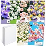 6pcs Wäscheduft Schrank Duftsäckchen Kleiderschrank Dufterfrischer, Schrankduft Frische, Duftbeutel Kleiderschrank Duft Hanging Beutel, Schrankdeo Natürlichen Geruch Sachet (hybrid)