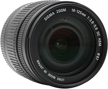 Amazon.com : Sigma 18-125mm F3.8-5.6 DC HSM Lens (67mm Filter