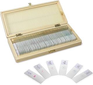 ULAB Basic Biology Prepared Microscope Slides with Specimen for Kids, Microscope Specimen Slides, 50pcs Packed in Fitted Wooden Storage Box, UHP1050
