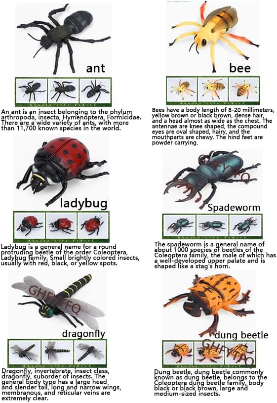 Miniatura 7 de Muñeca de insecto 12 muñecas de animales de insectos extra grandes para niños Educación temprana Cognición Animal Juguete Modelo Rinoceronte