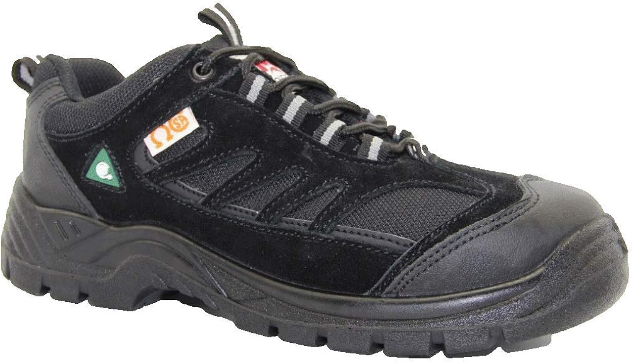 Dolphin D7 CSA Approved Safety Shoes, Work Shoes, Construction Boots. Amazon.ca Clothing