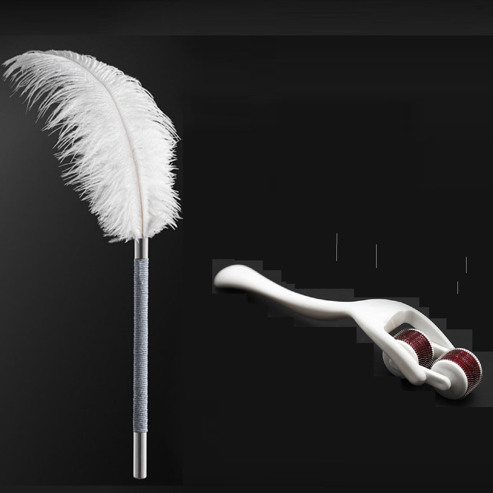 Kit de plumes et de roues à pointes pour jeux sensoriels, outils de chatouillement BDSM pour couples, plume à chatouiller avec roue à piqûres, plume et rouleau de massage à pointes
