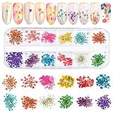 EBANKU 12 Colors 3D Dried Flowers Nail Art Decals, Colorful Dried Gypsophila Flowers Nail Art Stickers Decoration, 3D Nail Decoration for UV Gel/Acrylic Nail Design
