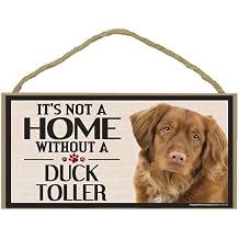Imagine This Wood Sign for Duck Toller Dog Breeds