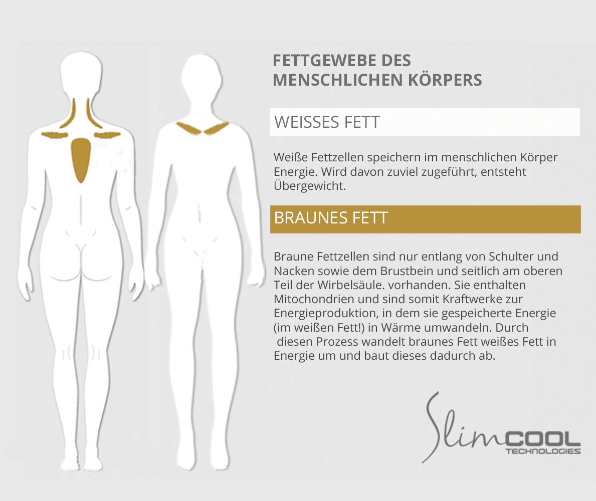ShapeBelt | Abnehmen durch Kühlung | Cryo Shapewear (zur Aktivierung von braunem Fett) | Schlanker durch Energieverbrauch | Waistbelt zur Diät
