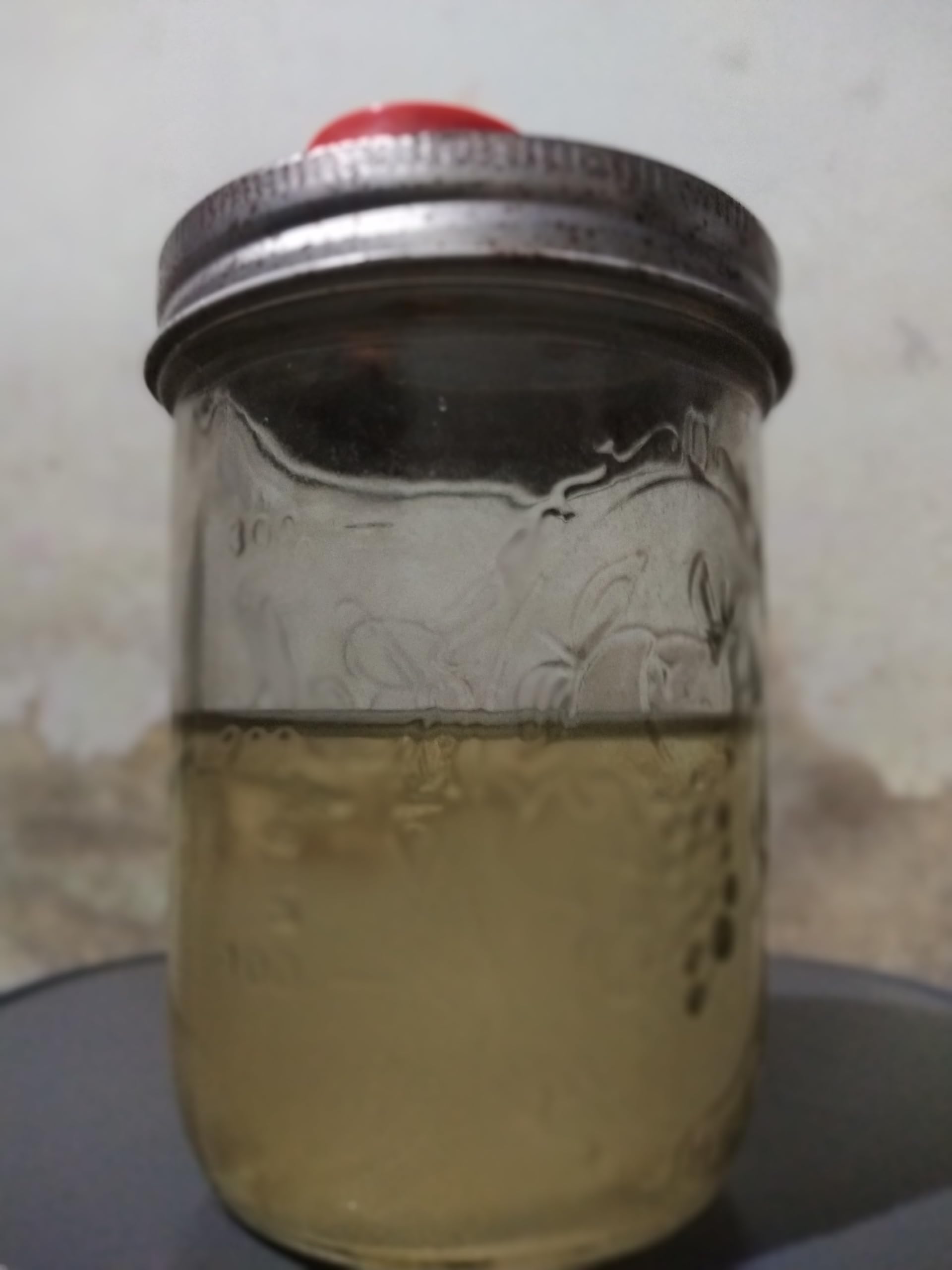 B+ Mushroom Isolated Spores - Perfect for Mushroom Enthusiasts-picture-49