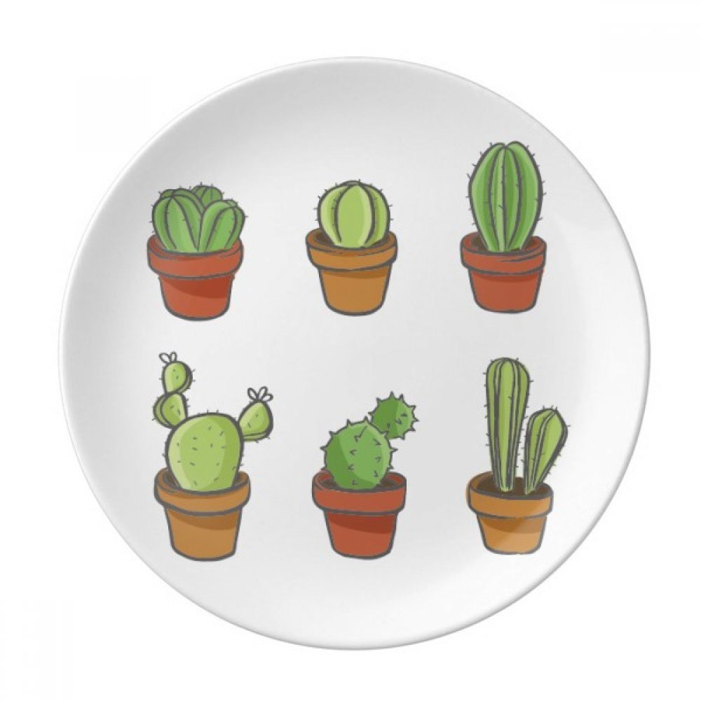 Plantes en pot assiette porcelaine anti-rayures pour une table impeccable sans effort