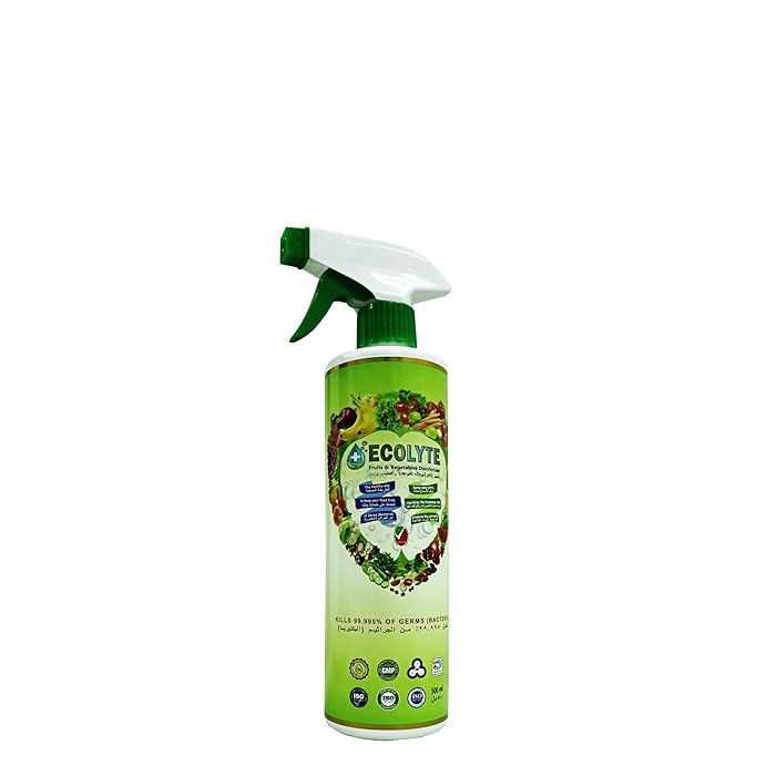 Buy Ecolyte Disinfectant Spray and Food Sanitizer (500ML) Organic