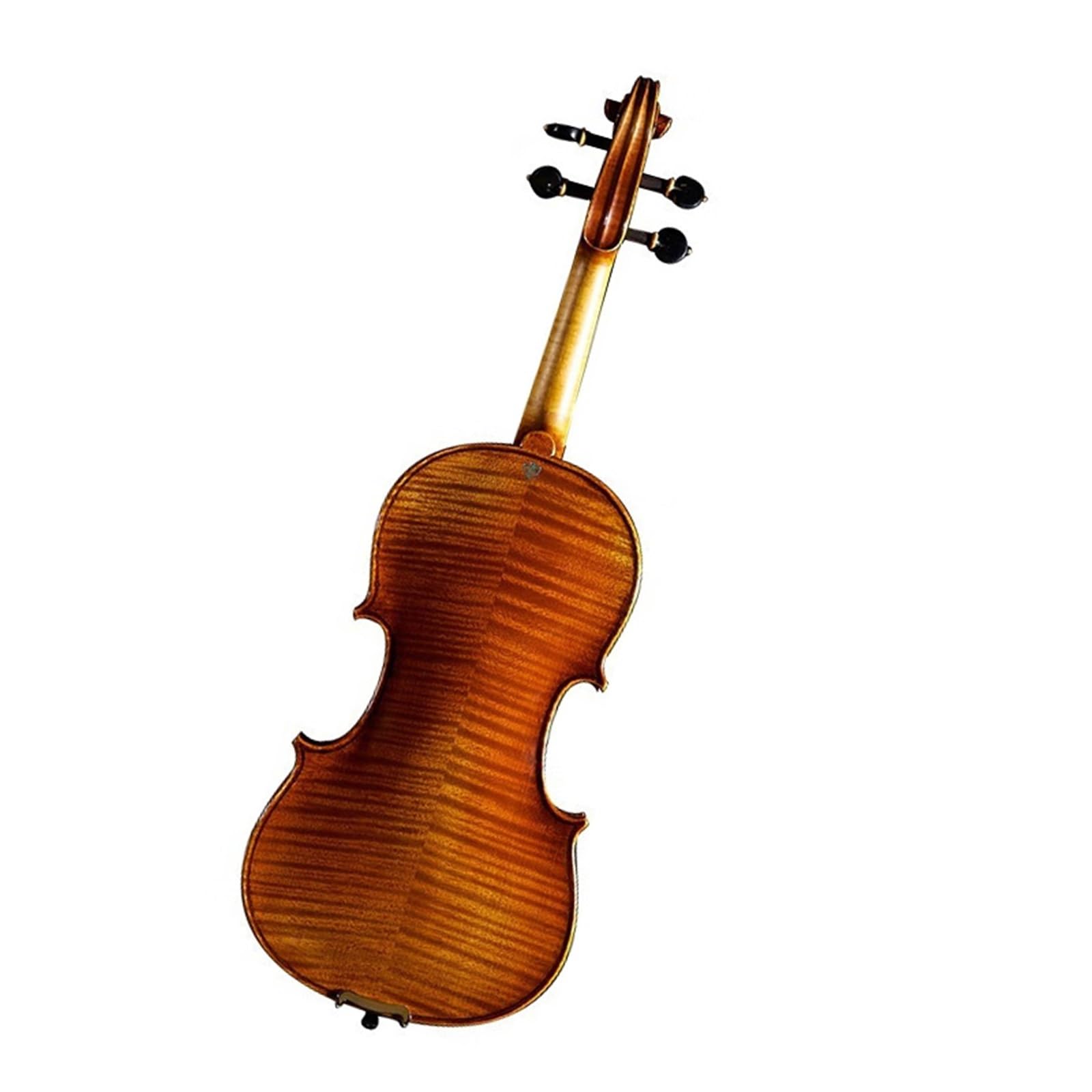 Un Violino Solista Da Concerto Per Adulti Violino