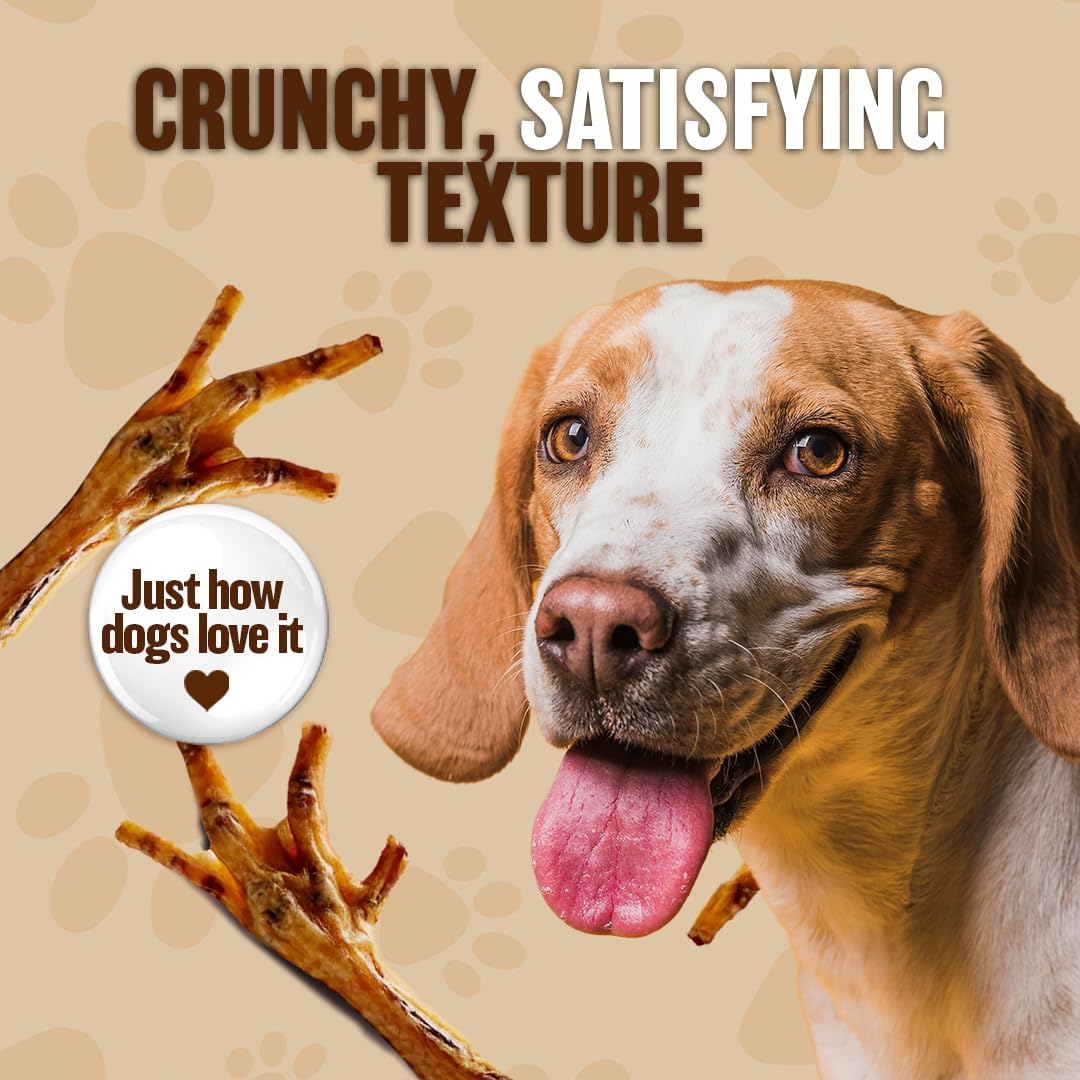 Dehydrated Chicken Feet for Dogs - Single Ingredient Dog Chews - Made in USA - 100% Digestible Chicken Foot Treats - Natural Dog Treats - Dried Chickens Treat for Dogs - 24 Count