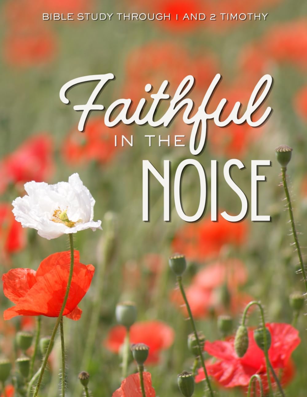 Faithful in the Noise: Bible Study Through 1 and 2 Timothy