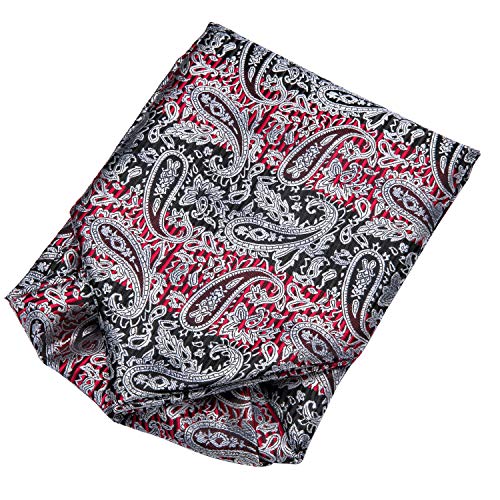 Image of Dubulle Paisley Floral Ascot for Men Self Tie Mens Cravat and Pocket Square Cufflinks Wedding
