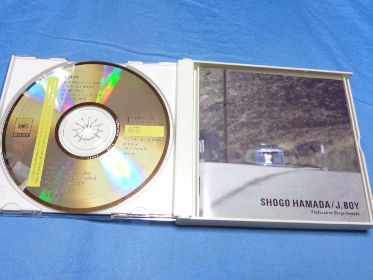 : 浜田省吾  CD 2枚組 もう一つの土曜日１９のままさ