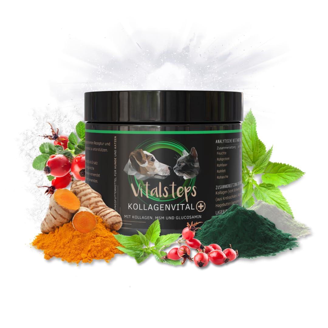 KollagenVital+ 500g | Kollagen MSM Glucosamin Chlorella Chondroitin Hagebutte Brennnessel Curcuma - Hund u. Katze