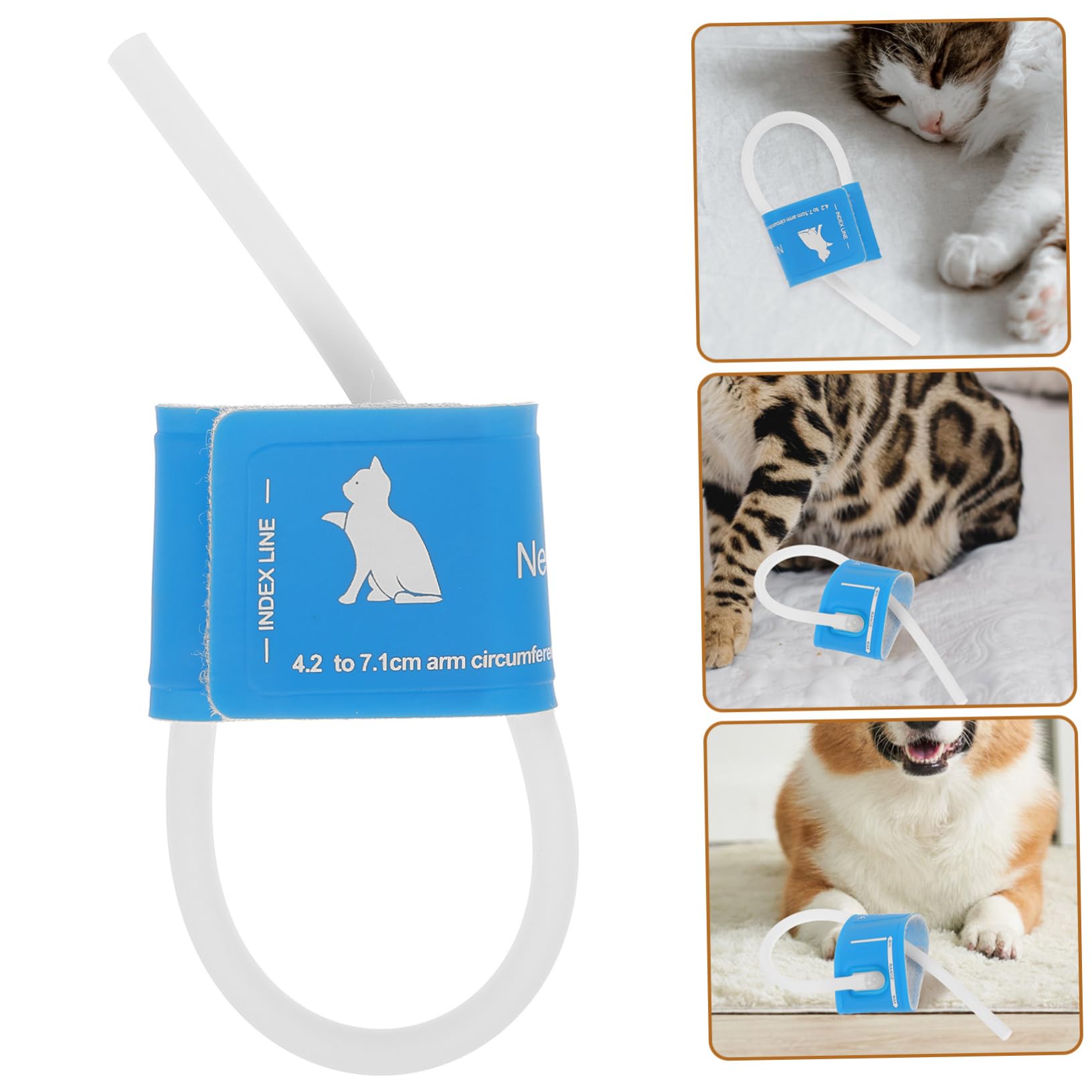 POPETPOP Brassard De Tensiomètre Réutilisable pour Animaux De Compagnie Tensiomètre Vétérinaire Adapté Aux Chiens Et Chats Mesure Précise De La Pression Artérielle Outil Domestique Fiable