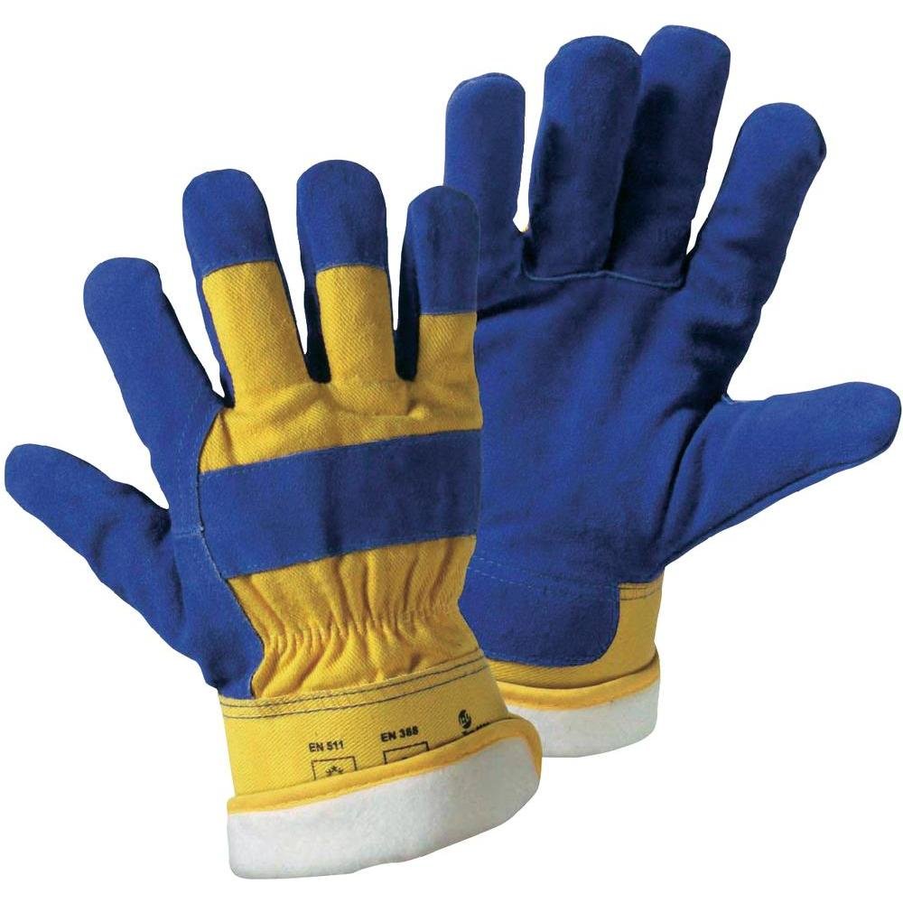Worky 1633 Spaltlederhandschuh THERMOBÄR Spaltleder Größe: 11, XXL : Blau Fashion