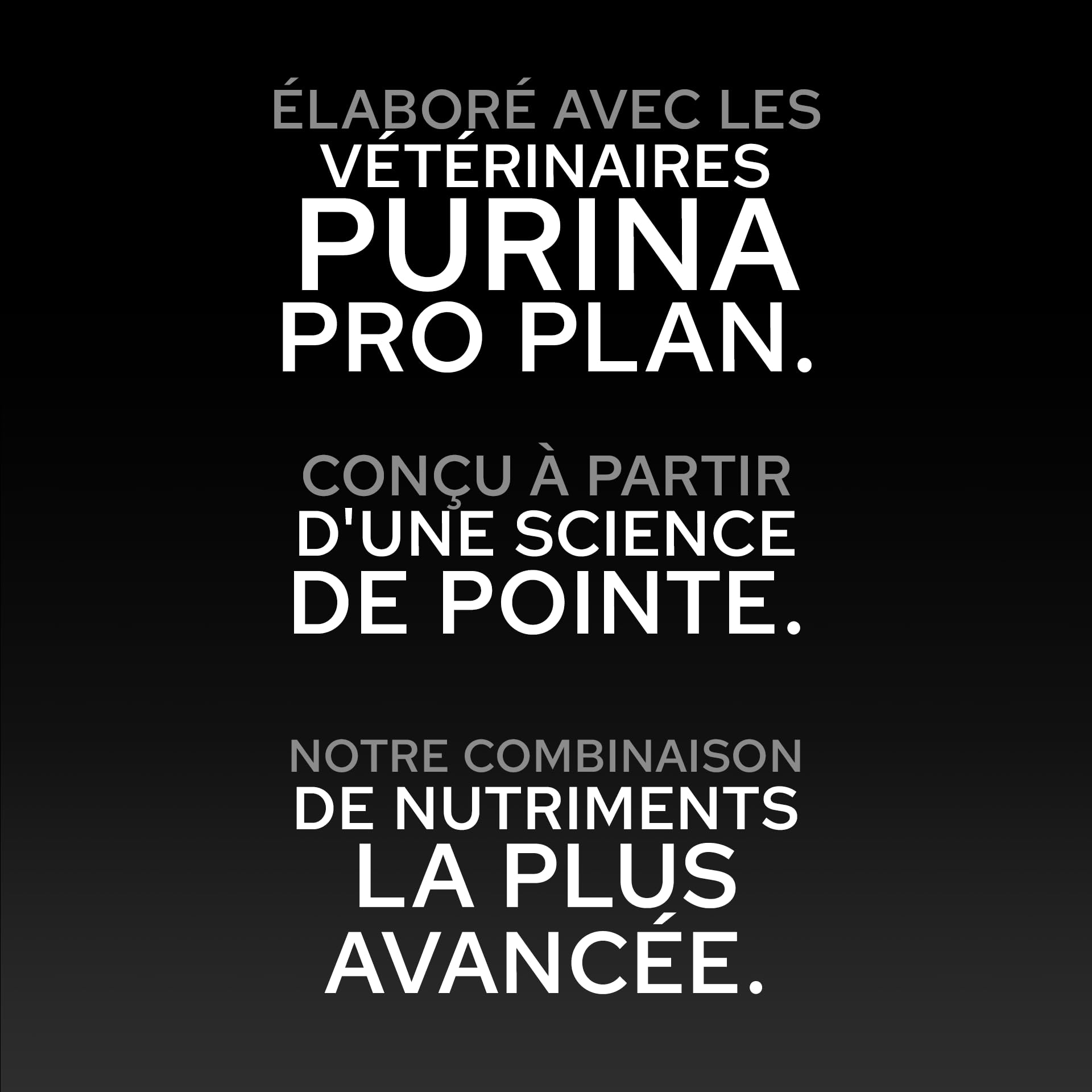 Purina Pro Plan Sensitive Digestion - Croquettes Chien Moyen Agneau - 16 kg | Croquettes Chien Moyen Digestion Sensible Saveur Agneau - Microflore renforcée via prébiotiques - Alimentation Chien