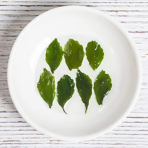 Miniatura 6 de Hojas de té Wild Jiaogulan, té Gynostemma, 3.5 onzas (3.53 oz), 100% natural, sin azúcar, sin Gmo