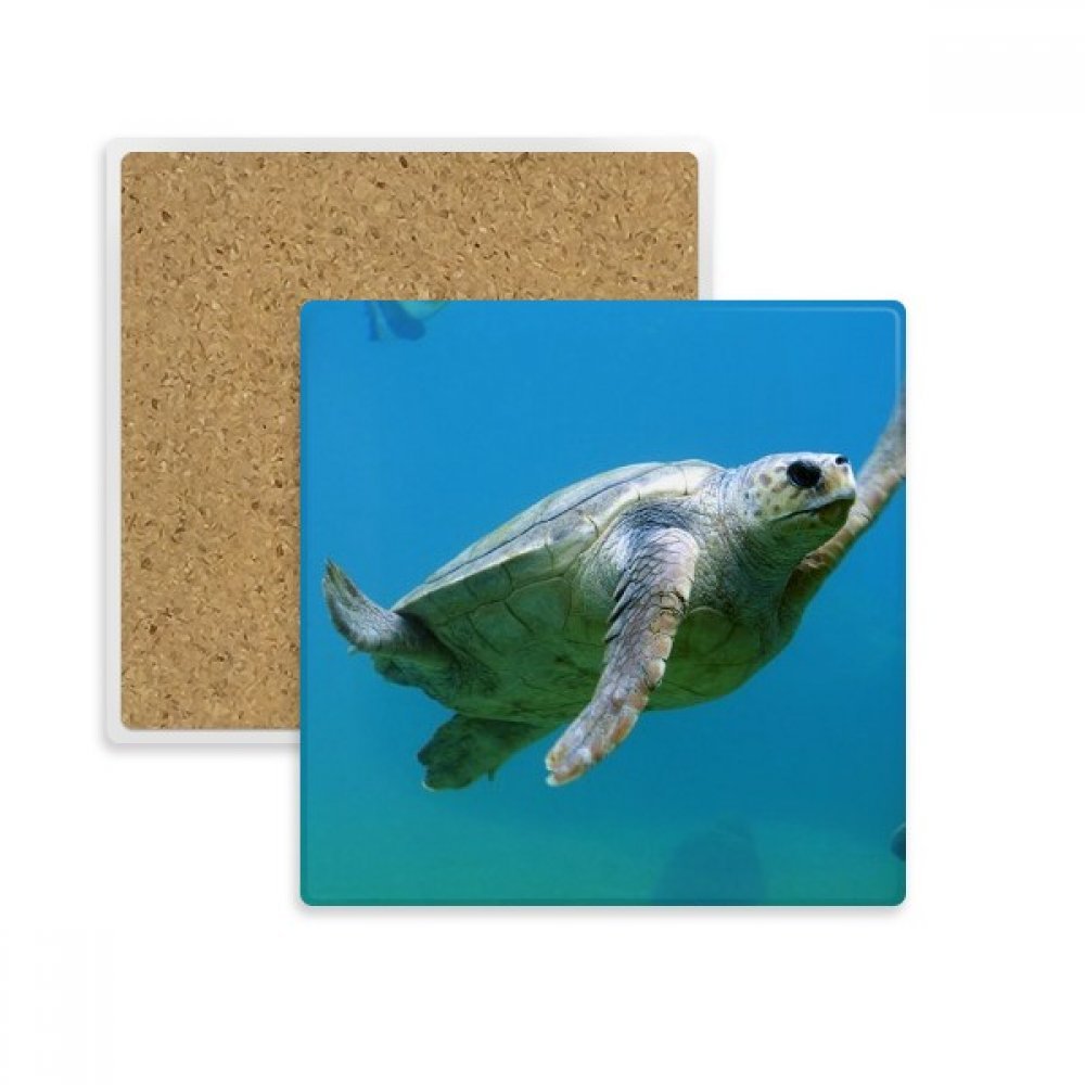 Sous-verre tortue marine en pierre, le cadeau idéal pour amoureux de la mer