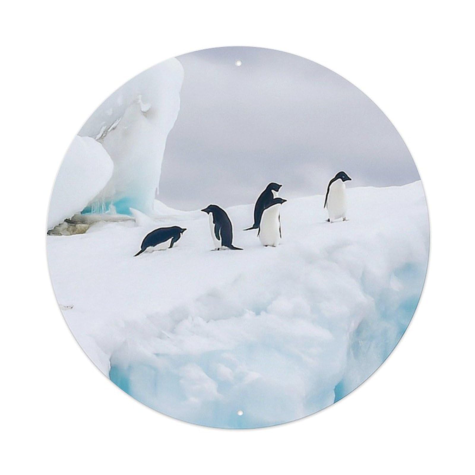 Arctic Animals Penguins on Ice Vintage Metal Tin Sign Plaque Wall Decor for Cafe, Club Bar, Office, Garden Metal Poster 8x8Inch