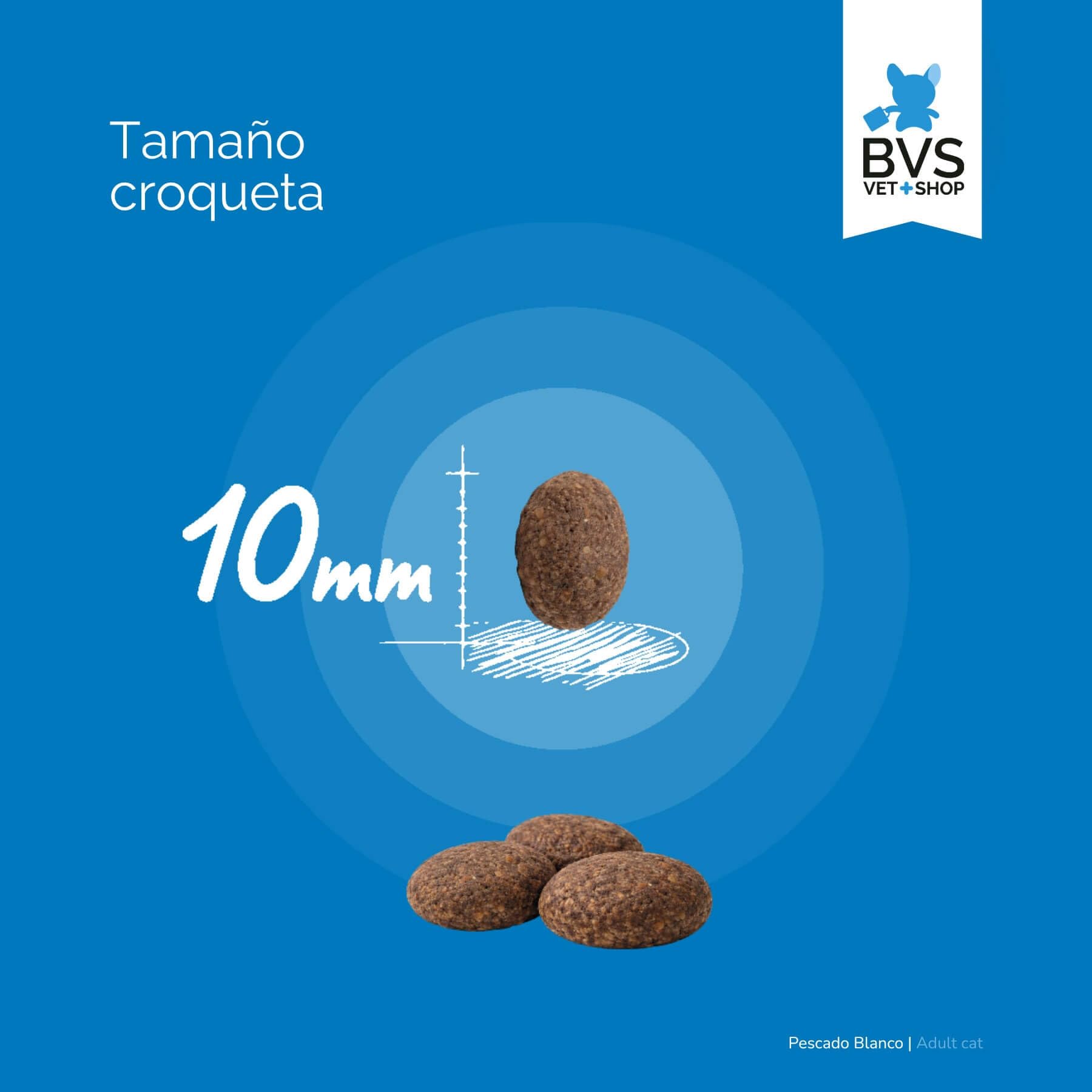 BVS Vet Shop | Adult Cat Pescado Blanco para Gatos | Protege al Sistema inmunológico y Ayuda a desarrollar la Salud Cardiovascular y el Sistema nervioso | 12Kg