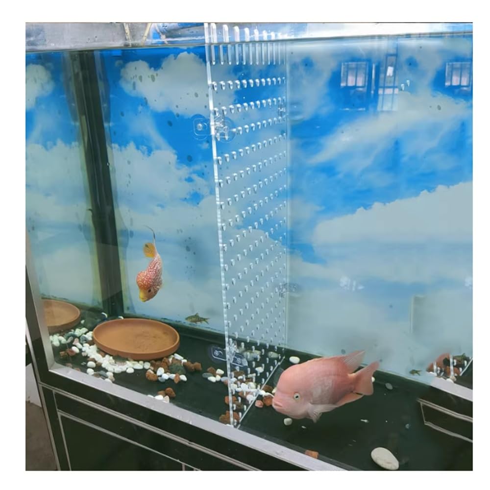 Akwarium Fish Tank Przegroda Płyta Izolacyjna Fish Tank Płyta Izolacyjna Przegroda Odcięta Izolacja Siatka Separator Płytka Łatwa do Czyszczenia Żel Krzemionkowy Przyssawka Zapobiega ugryzieniu ryb