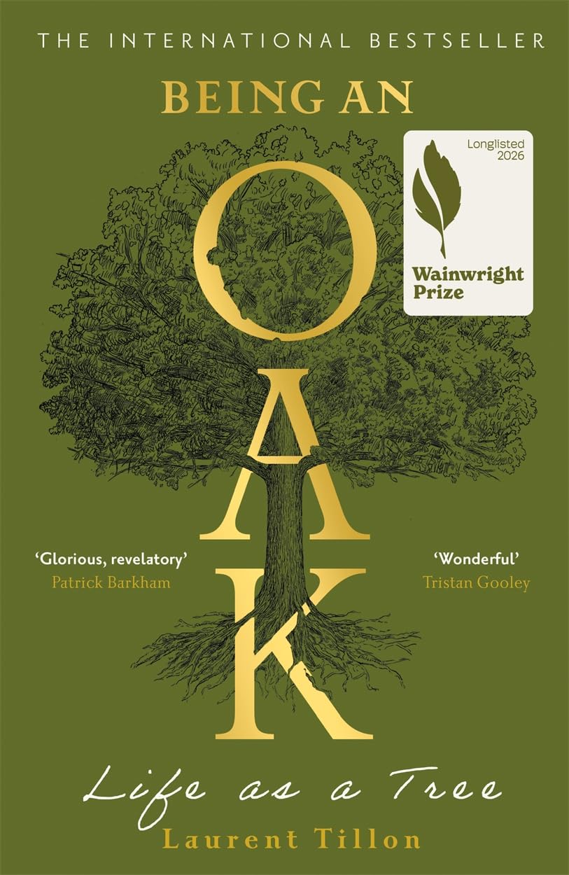 Being an Oak: Life as a tree