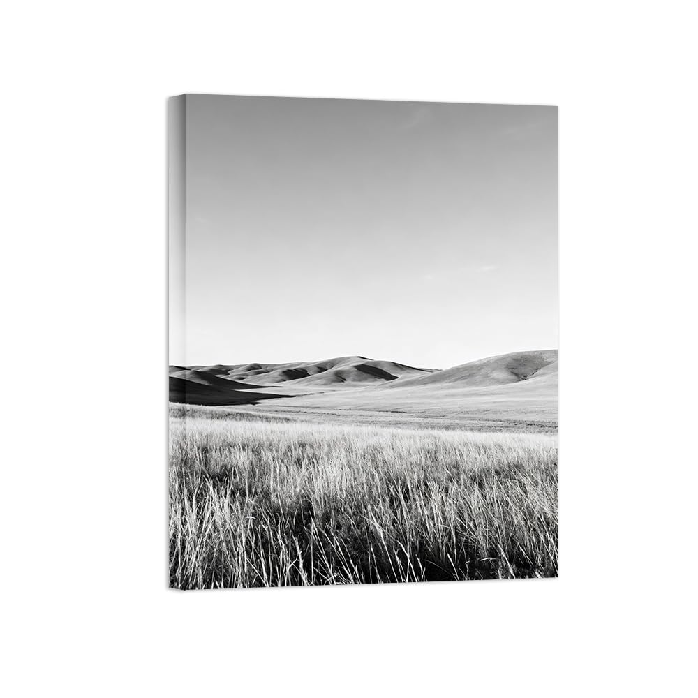 OZPWBVY Grassland No.2 Black White Landscape Wall Art Prints 70x90cm Framed