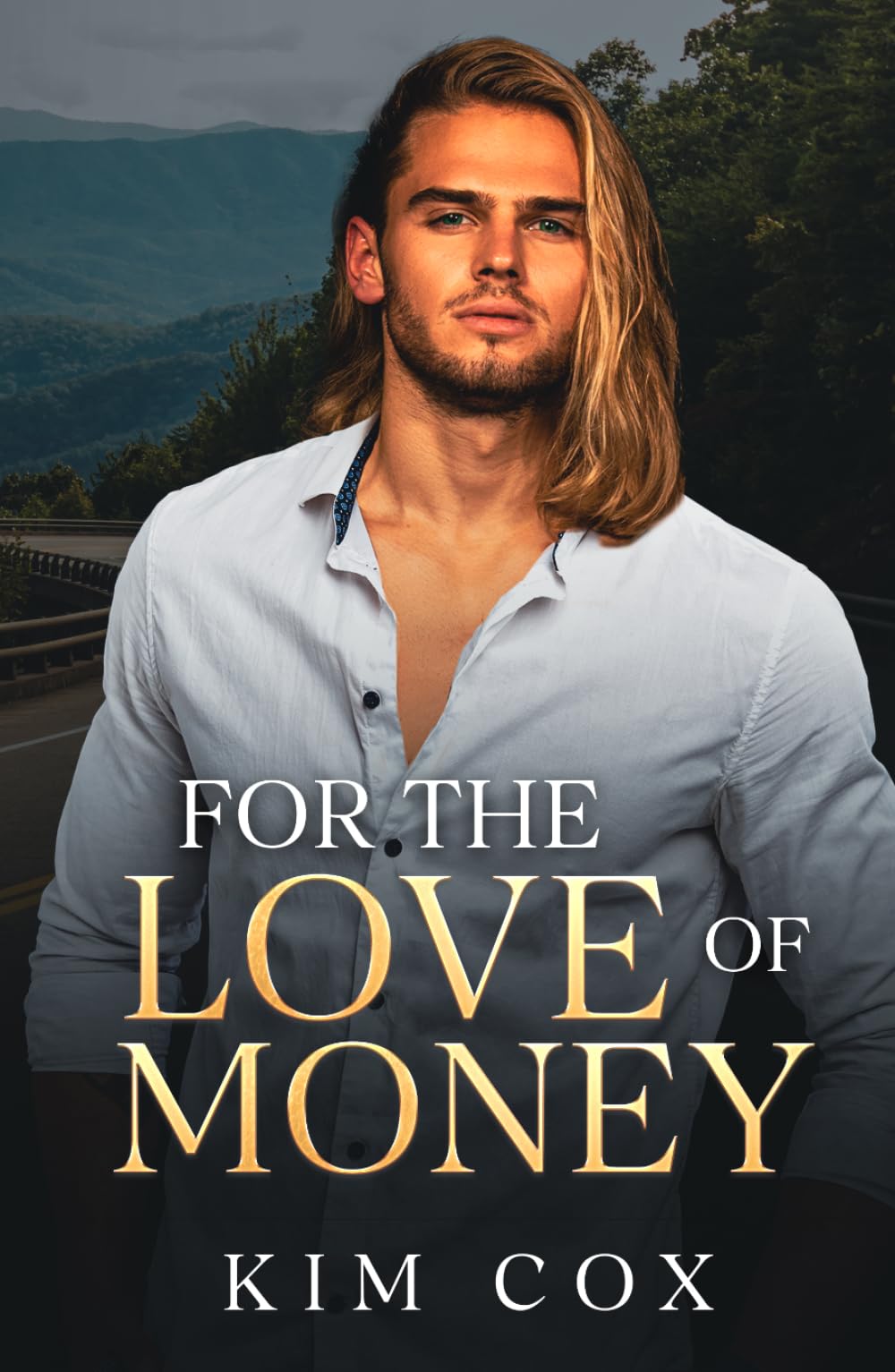 For the Love of Money: A Small Town Romantic Suspense