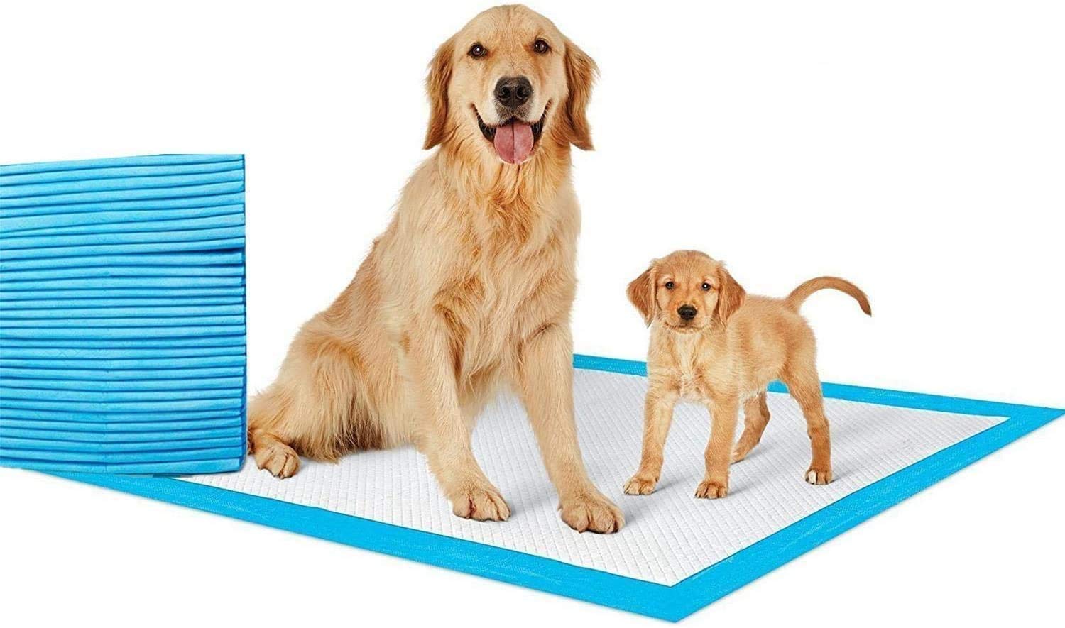 ShowayDisposable Absorbent Quick Drying Leak-Proof Pee Pads For Potty Training For Pets, 45X60cm M - 50 Pieces