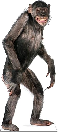 Cardboard People Chimpanzee Life Size Cardboard Cutout Standup