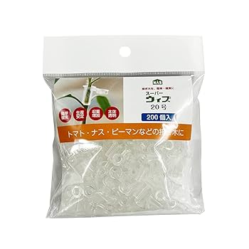 【お急ぎ】なす Amazon.co.jp: ITANSE ナス苗 とげなし千両二号なす【野菜