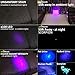 uvBeast Black Light UV Flashlight – High Power 100 LED with 30-feet Flood Effect – Professional Grade 385nm-395nm Best for Commercial/Domestic Use Works Even in Ambient Light - USA Stock – UK Design