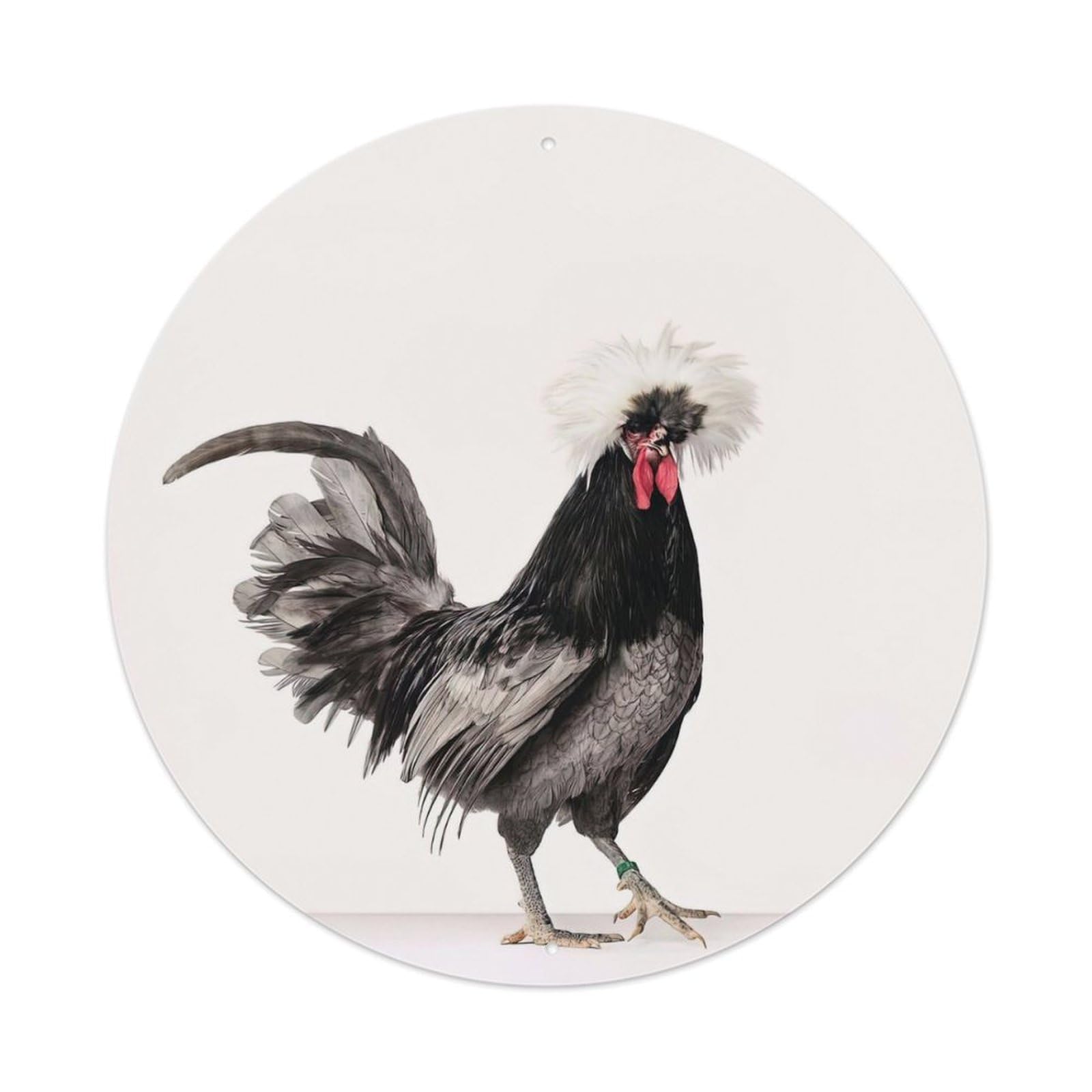 Black Hen Animal Artwork Vintage Metal Tin Sign Plaque Wall Decor for Cafe, Club Bar, Office, Garden Metal Poster 8x8Inch