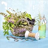 Facile à nettoyer, de couleurs et à la lumière.